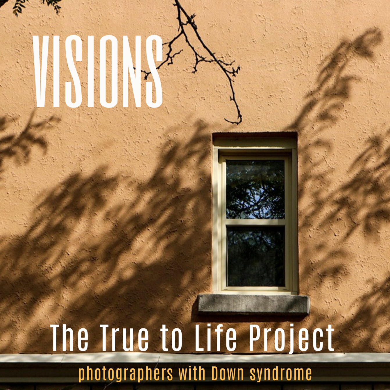 Visions Visions